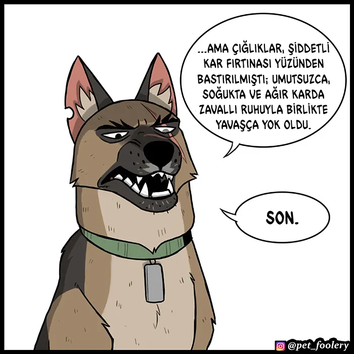 NjAxSk5OUkFaUFkyNllRSg.87AkuAANCYff44FEnGLP4FoMz7