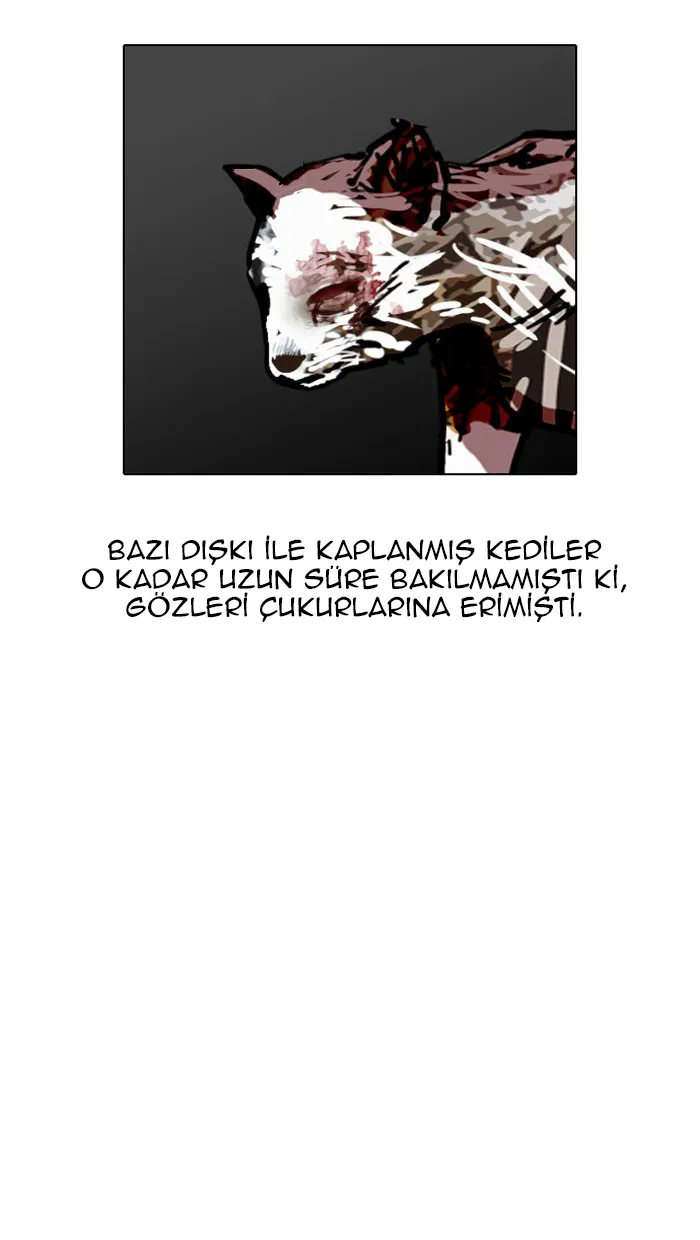 NjIwMUpOTlI0WUY5MzdYSg.tDclq wzbmFtrvuq6Xi8Svvejc1PhrLJmh4PKFNaook