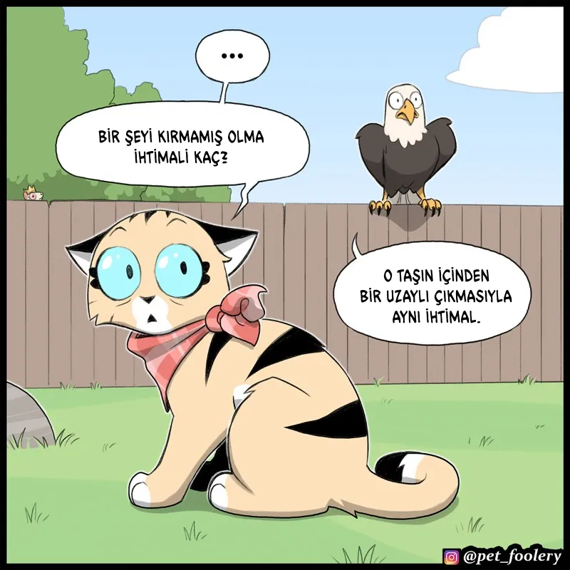 NzAxSk5OUkFaUFdNNVNZTg.ezML 9 jicx zY nRHTNO3h0k4wuFUkzkykz24L4Ii0