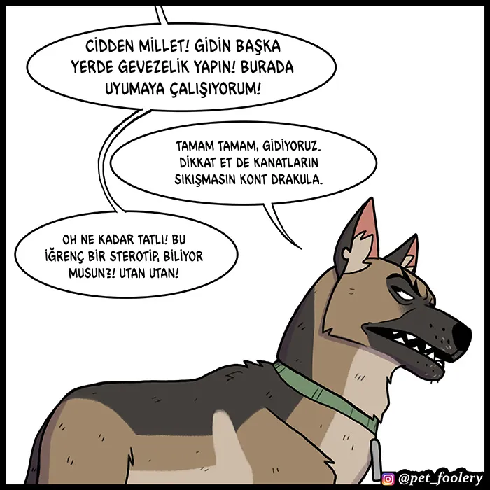 NzAxSk5OUkFaUFlOVFoxVw.gIHOzv zR8Q9H
