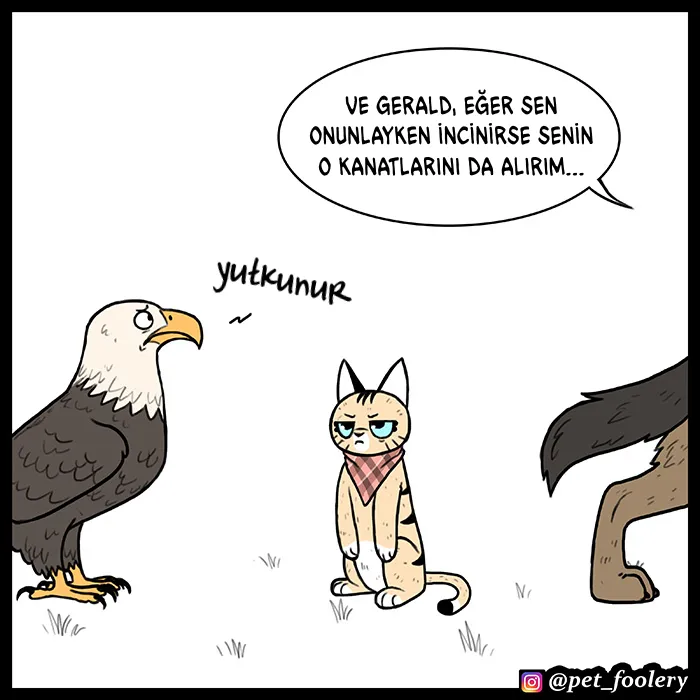 NzAxSk5OUkFaUFowREJaVA.p9usrshCgWx ApXABT UoQZ b7vgq3sqiBVsSGcRsg