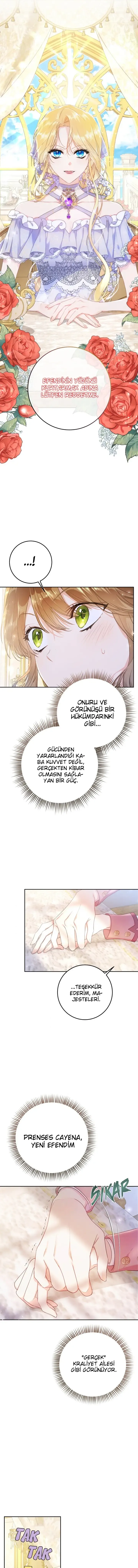 ODAxSk5OTlpGSlNOOFhTVg.sesG TJJJCMBNsklI5wwGH CMSEF X7ZbObhXfzKze0