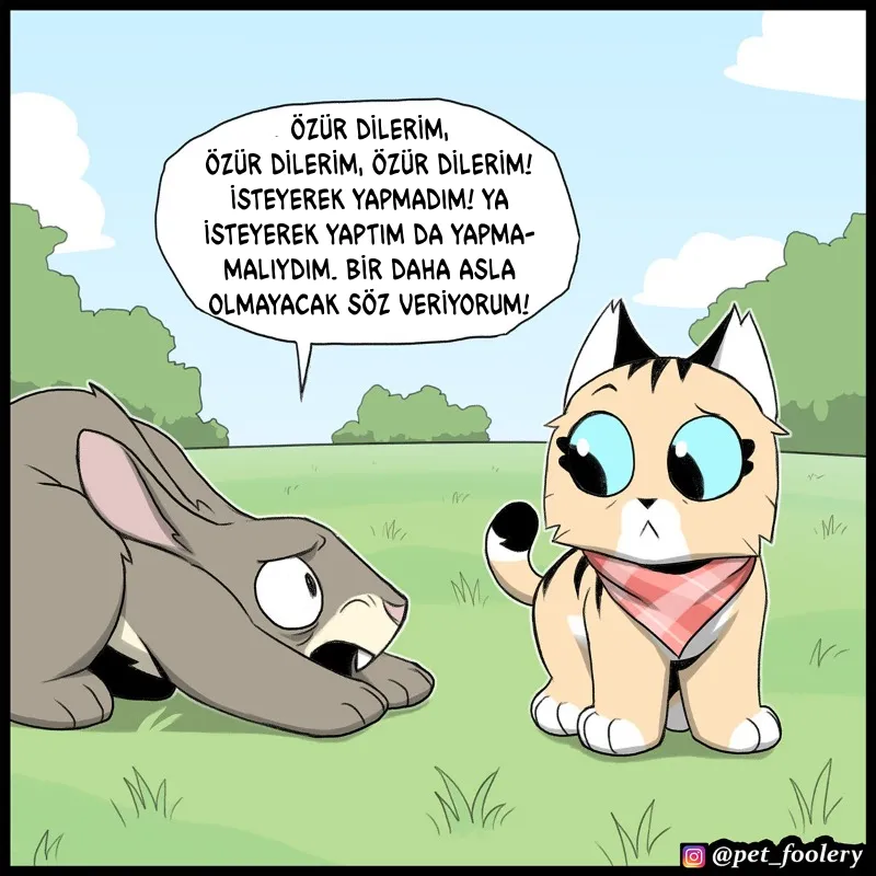 ODAxSk5OUkFaUFdENTlLQg.y2gn9j2qHg3cAXsAoIBs amQe3WpCt3 67NTTs6Bn60