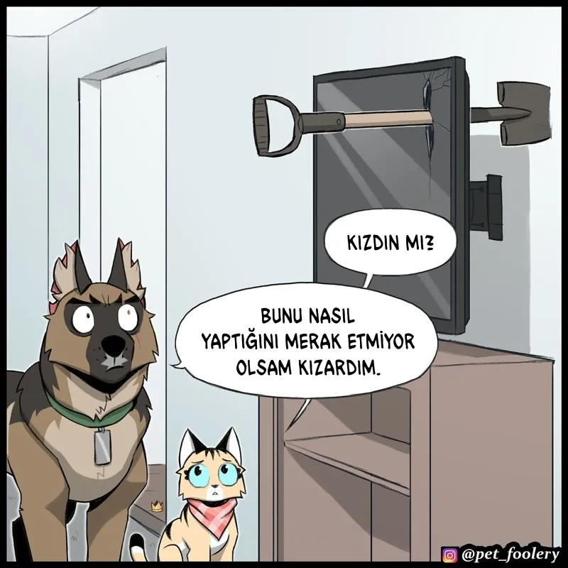 ODAxSk5OUkFaUFdZNzRQUw.MgrwfCo5 l81VUPlvQeidDnwyhCcIBcb6A3h2RERM7o