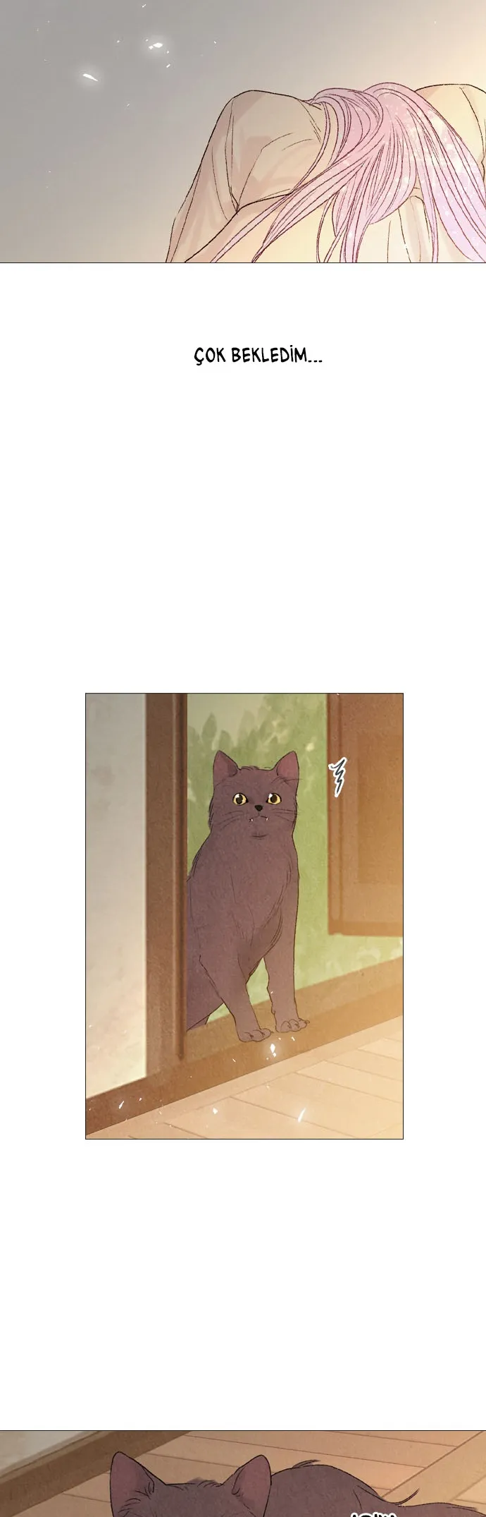 ODAxSk5OUlJRNFozRVpXVg.bgdAFJZwsWiJKUvK12Uo 9ia8O2JmyiUKv DXHyUerw