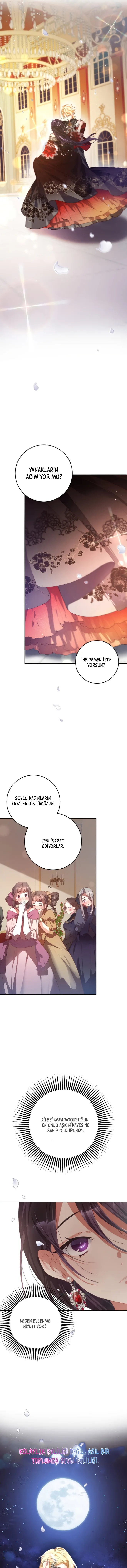 OTAxSlc0WUJBR0ZYUDQwRA.Pr50 Kd8mDH5VJRLDxfaK8UukmFyBJ5D8v s8XYLddVLtWfosM12Cqp aak1TvF2