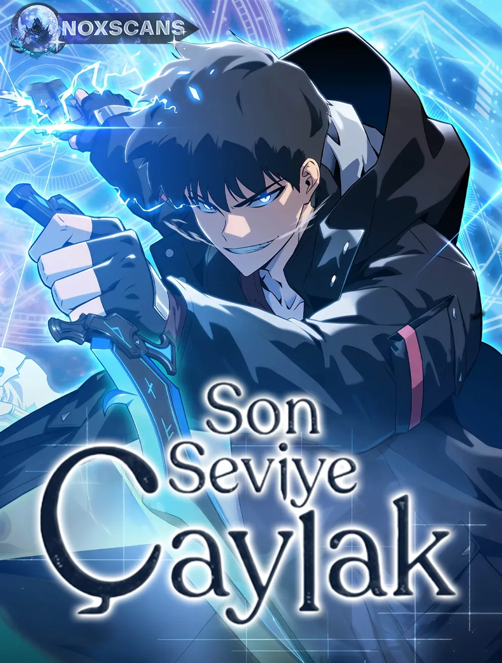 son-seviye-caylak-image