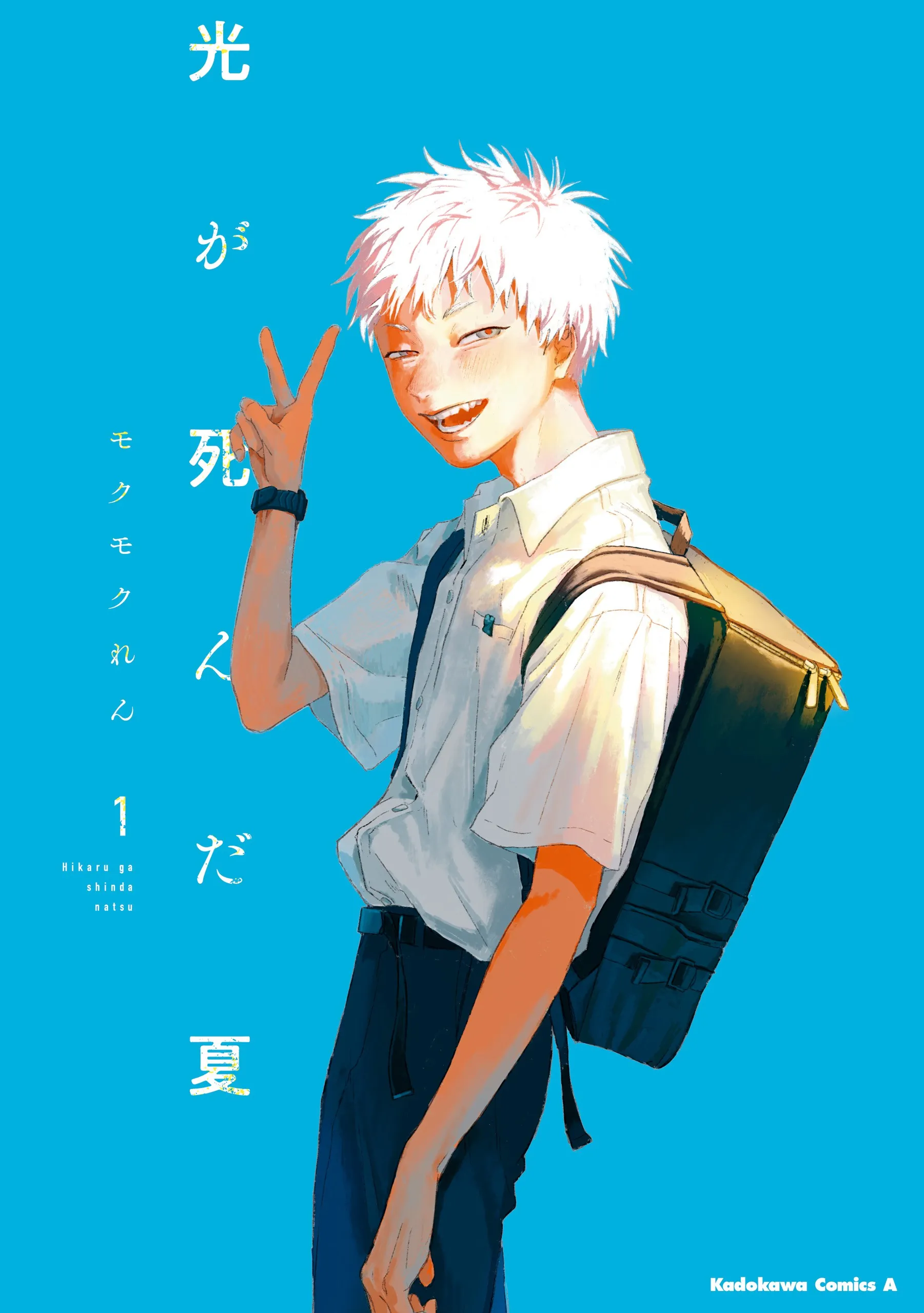 the-summer-hikaru-died-image